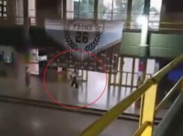 “Más armas equivale a más muertes”, planteó la Red para el Desarme, que reclamó el fin de la política de flexibilización de permisos