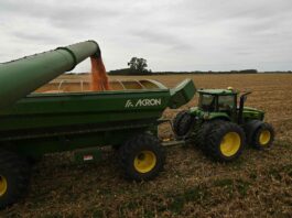 US$1000 millones extra: mejoró una variable muy importante para el país