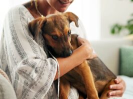 Pet sitting: la nueva forma de hacer turismo sin pagar hospedaje