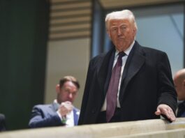 Trump dice que Irán podría ser “eliminado” en una sola noche y que esa noche “podría” ser el martes