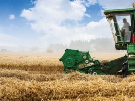 Primeros cálculos: la próxima campaña de trigo se enfrenta a números al límite o en rojo