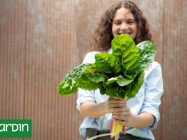Otoño en frascos: cómo transformar la abundancia de la huerta en conservas para todo el año