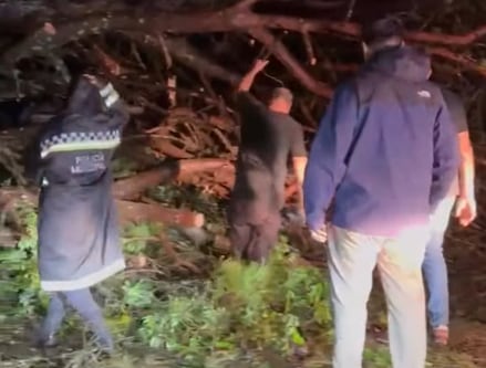 Un fuerte temporal azotó el AMBA y causó destrozos: autos tapados, inundaciones y árboles caídos