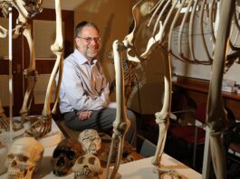 Daniel Lieberman, paleoantropólogo de Harvard: “No hay evidencia científica que demuestre que correr cause artrosis de rodilla”