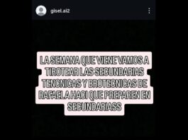 Detuvieron a un adolescente como autor de un mensaje viral que anunciaba una nueva masacre escolar