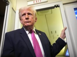 Qué implica el registro nacional de votantes elegibles que creará el DHS y la SSA a pedido de Trump