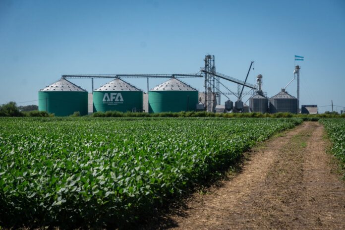 Factura US$2200 millones: una cooperativa agrícola quiere invertir más de US$150 millones, pero espera que antes cambie una ley