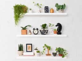El “shelfie” inmobiliario: cómo diseñar la repisa perfecta que valoriza la propiedad y vende mejor