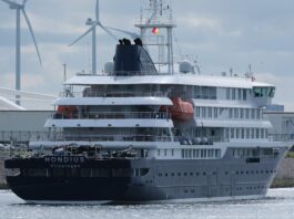 Hantavirus en el crucero: la OMS dará por finalizado el brote si no se notifican nuevos casos antes del 2 de julio próximo