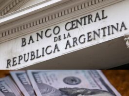 El Banco Central publicó el cambio de normas para habilitar créditos en dólares