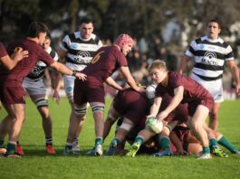 Newman venció a CASI, ganó por 11ª vez en las 12 fechas del Top 14 y va a potenciarse con el regreso de los profesionales