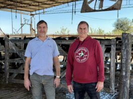 “Era poco para mantener a tres familias”: la abrupta decisión que convirtió un tambo en otra cosa