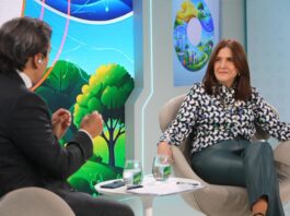 “Largamos el corazón y agarramos la billetera”: el nuevo enfoque de la sustentabilidad en las empresas