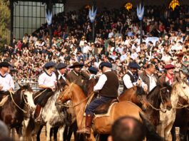 Milei en la Rural: mañana se inaugura oficialmente la muestra y el campo se ilusiona con un anuncio de baja de retenciones para la carne