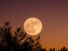 Cuándo cae la Luna llena julio 2026 en la Argentina