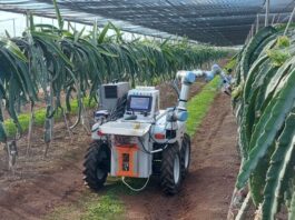 Así funciona el Dragonbot, el robot creado por dos jóvenes que recolecta la fruta del dragón