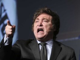 Milei celebró la histórica victoria de Noruega sobre Brasil y destacó a Haaland: “Vikingo, sos un gigante”