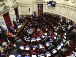 Senado: fuerte apuesta del Gobierno para aprobar el proyecto de extranjerización de tierras