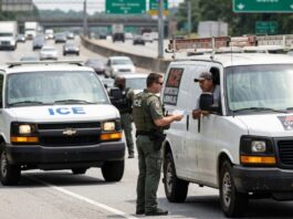 Nuevo objetivo del ICE en EE.UU.: afirman que las vans de trabajo son el foco de agentes para detener migrantes