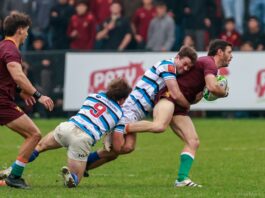 Top 14 de URBA: Newman le ganó un partidazo a SIC como visitante y CASI goleó a La Plata