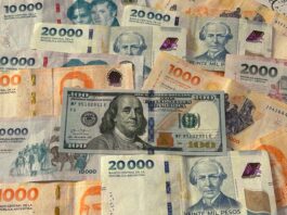 Dolarización: un experimento mental