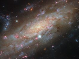Hallazgo astronómico: detectan un tipo de azúcar en el centro de la Vía Láctea que podría explicar el origen de la vida