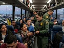Viajaba en un autobús Greyhound con documentos falsos: lo detuvo la Patrulla Fronteriza de la CBP en Texas