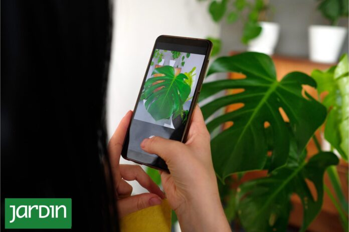 PlantTok: cómo una hoja puede volverse viral y cambiar el mercado de las plantas
