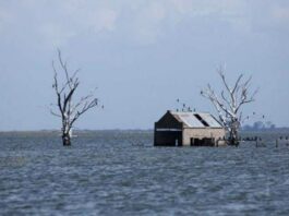 Ante pronósticos de El Niño, proponen tomar medidas preventivas