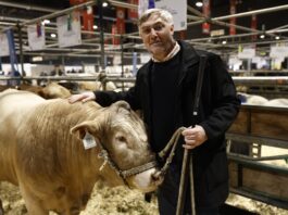 Dos países europeos podrían ser un gran mercado para la carne de una raza desarrollada en una universidad
