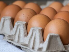 Nueva York distribuirá casi cinco millones de huevos gratis: quiénes los recibirán y por qué
