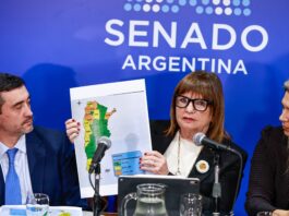 Ley de “extranjerización de tierras”: un traspié para el modelo libertario