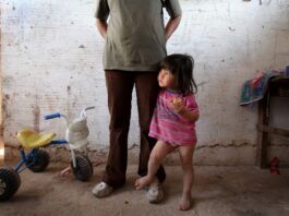 Fecha y monto del ExPotenciar Trabajo: cuándo y cuánto cobro por el Acompañamiento Social en agosto 2026
