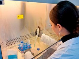 Desarrollan un test que permitiría detectar trastornos de neurodesarrollo en niños