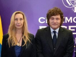 Los límites del programa de Milei