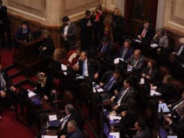 Ley de Propiedad Privada: qué se aprobó con la media sanción del Senado