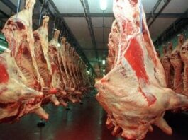 “Total apoyo”: otra cámara frigorífica respaldó los aportes obligatorios al Instituto de la Carne y criticó un plan del Gobierno