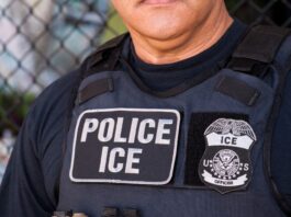 Organización de un exagente del ICE recibe un contrato millonario de Trump para representar a niños migrantes
