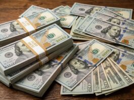 Dólar hoy y dólar blue, EN VIVO: a cuánto cotiza el oficial y cuál es el precio del paralelo este viernes 21 de agosto, minuto a minuto