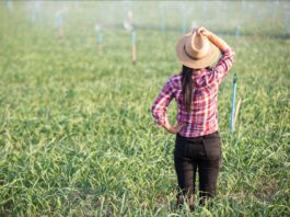 Yasmine, trabajadora agrícola en EE.UU.: “Tengo miedo de no volver a casa y no volver a ver a mis hijas”