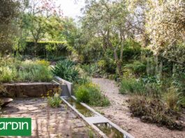 Jardines esponja: cómo diseñar jardines que absorban lluvias intensas