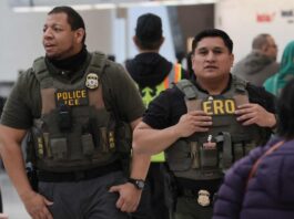 Noticias del ICE hoy en USA: intensifican operativos migratorios y aumentan detenciones en aeropuertos
