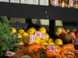 Nueva York prepara supermercados con alimentos 30% más baratos: qué productos tienen descuento y cuánto podrá ahorrar una familia