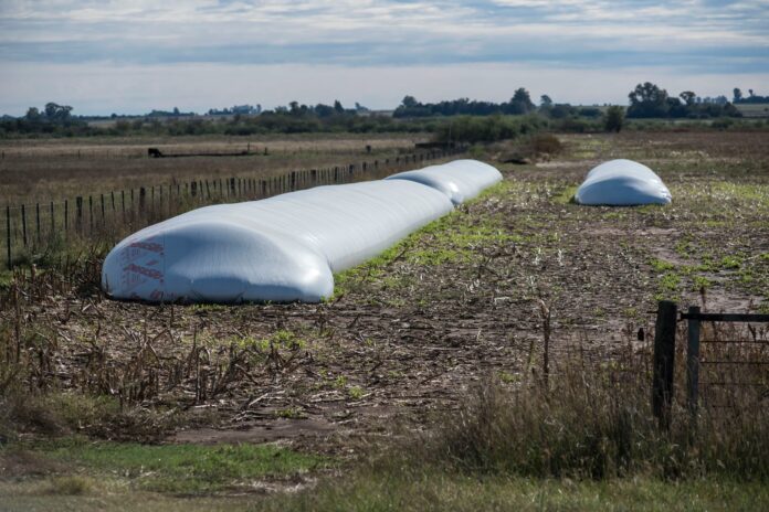 Los productores tienen soja por US$12.150 millones mientras la exportación busca cubrir ventas