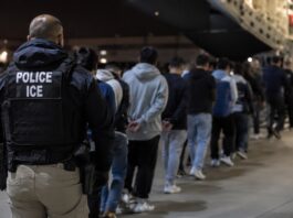 Es oficial: el DHS advierte que el servicio militar no protege automáticamente a los familiares de una deportación