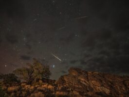 La lluvia de Perseidas podrá verse sin telescopio: a qué hora y desde dónde