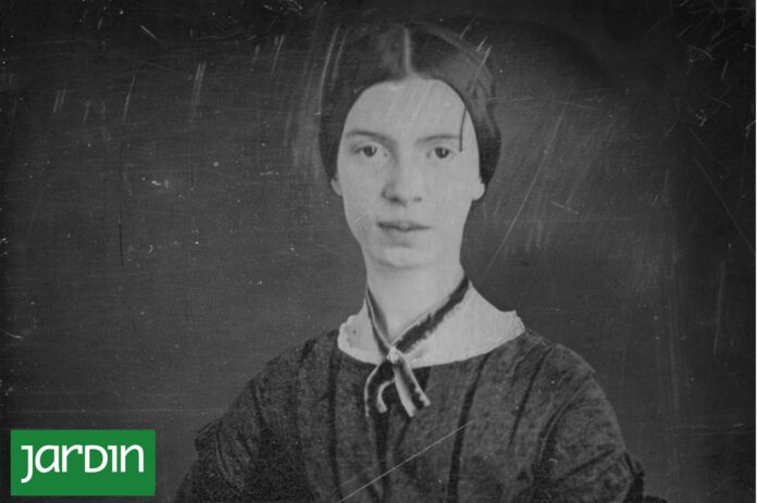 El herbario de Emily Dickinson, disponible 180 años después de su creación