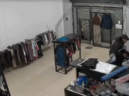 Video: un local de ropa deportiva de La Plata sufrió su segundo robo en 6 meses y decidió cerrar sus puertas