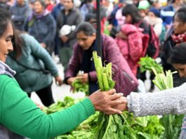 Productores del cinturón frutihortícola de La Plata se movilizarán en medio de la crisis que afronta el sector