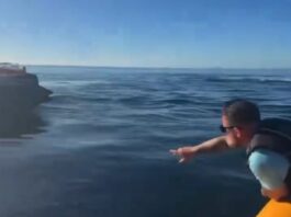 Arrestaron a un activista de ultraderecha acusador de tajear una lancha que rescata migrantes en el canal de la Mancha